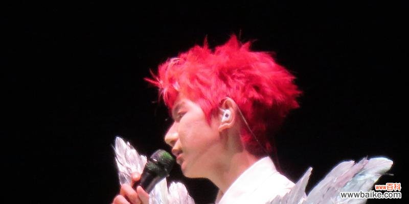 王源的花语代表了什么？