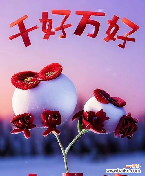 雪球山楂的花语代表了什么含义?