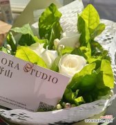 无言花语通常表达什么？