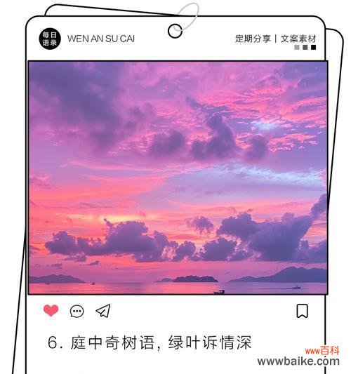 无言花语通常表达什么？