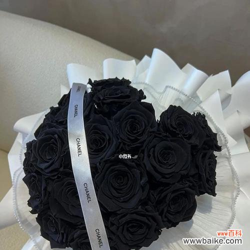 黑玫瑰的花语揭示内心的真实想法与感受 黑玫瑰的花语含义