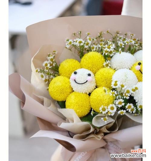 乒乓菊花语含义和象征是什么?乒乓菊在花语中代表什么?