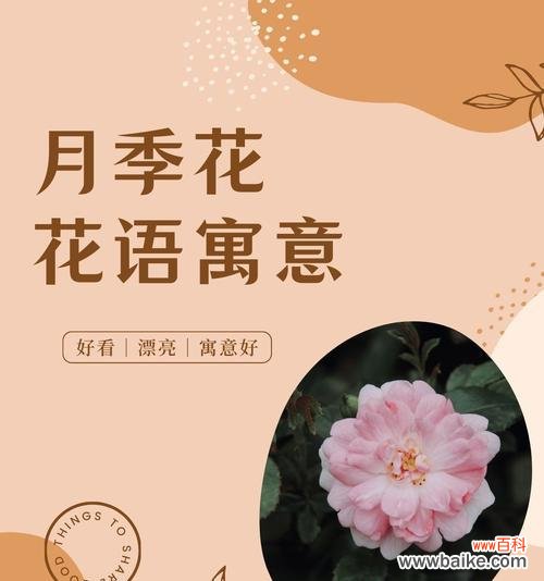 热情华贵是什么花语啊？哪种花代表热情与华贵？
