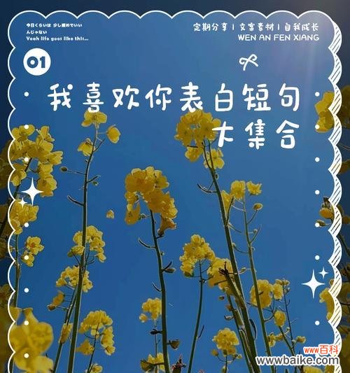 哪种花代表“我永远喜欢你”？