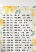 2月22日的花语代表什么？