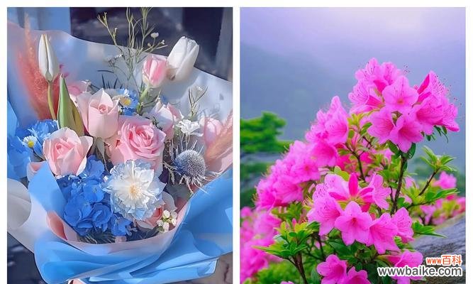 不被理解的爱情用什么花语表达?