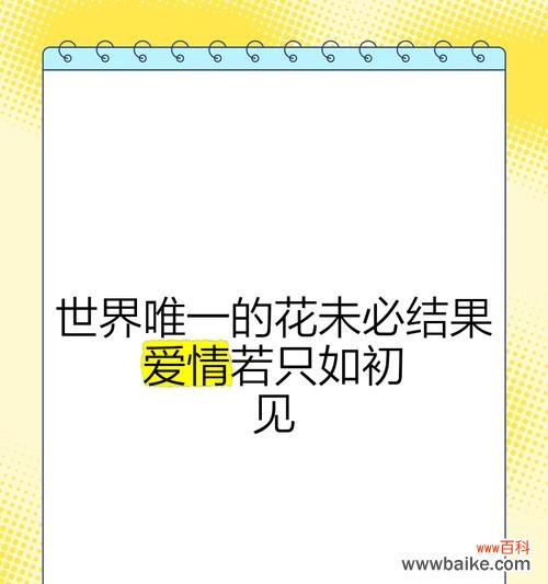 不被理解的爱情用什么花语表达?