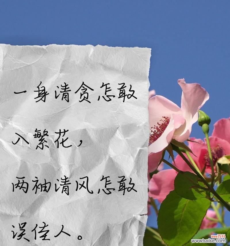 不被理解的爱情用什么花语表达?