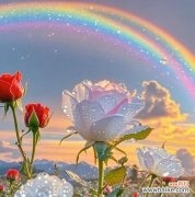 彩虹玫瑰传递了哪些特殊含义？送彩虹玫瑰有何寓意？