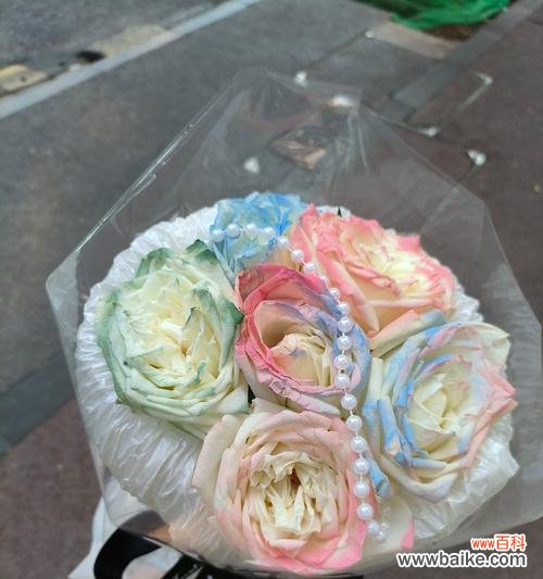 彩虹玫瑰传递了哪些特殊含义？送彩虹玫瑰有何寓意？