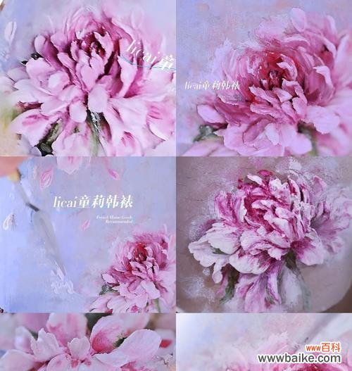 白色芍药花的花语和寓意有哪些？它通常用来表达什么？