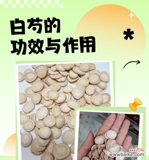 白色芍药花的花语和寓意有哪些？它通常用来表达什么？