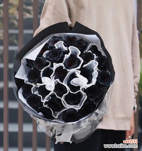 探索黑色玫瑰的象征意义,传达深沉情感和内心冲突 黑色玫瑰的花语