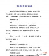 探寻黑色曼陀罗花的神秘语言 曼陀罗花语