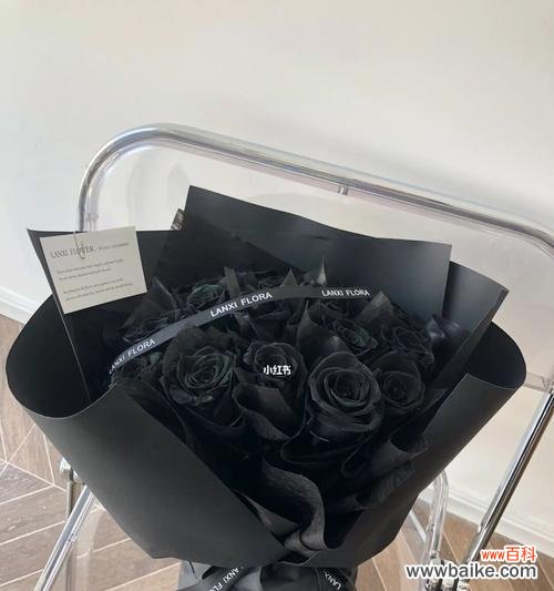 黑色玫瑰的美丽与寓意 黑色玫瑰