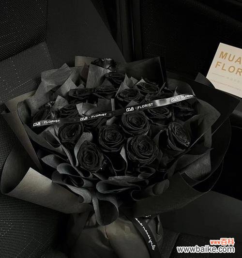 探索黑色玫瑰的神秘之美 黑色玫瑰的象征意义