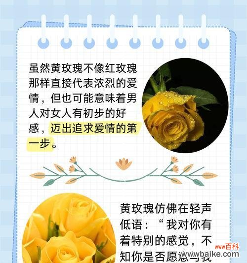 玫瑰玫瑰的花语何时播出?花语含义是什么?