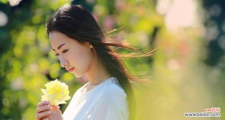 吹萨克斯小礼物的花语是什么?它有何特别含义?