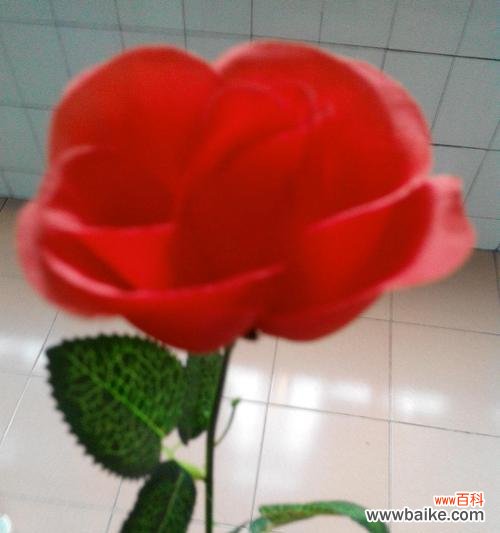 用鲜花传递深情，红玫瑰如何诉说爱意 红玫瑰的寓意