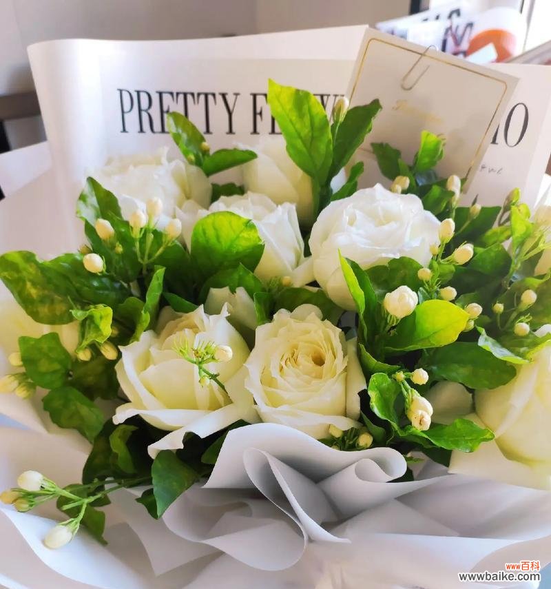 小聪老师这个花语代表什么？