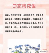 表达永不褪色友谊的花语有哪些？