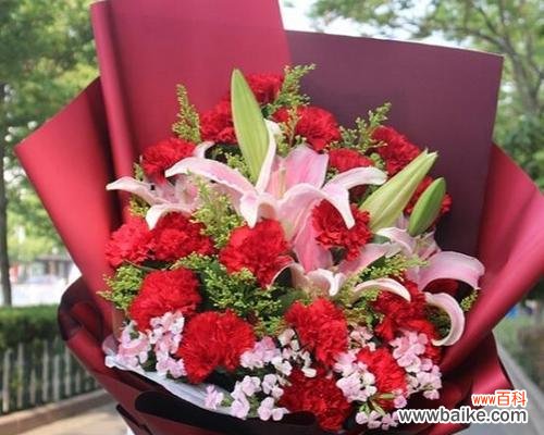 玫瑰花语在藏文中叫什么？它有什么特别的含义？