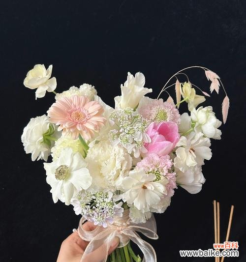 黑玫瑰花捧花的寓意是什么？捧花选择需要注意什么？