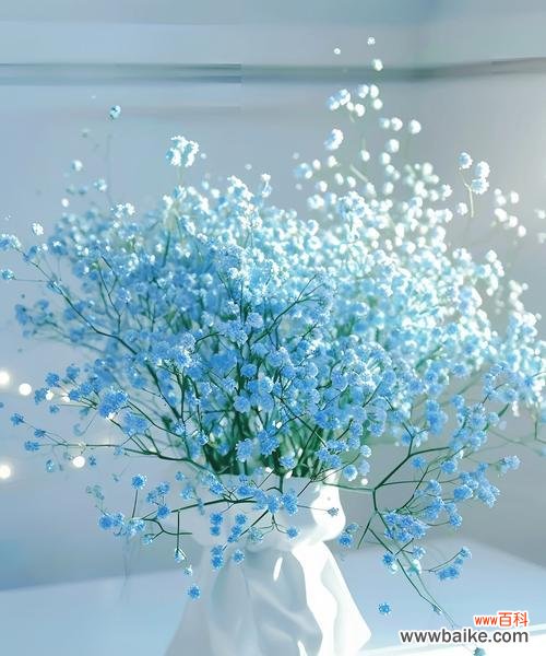 什么花象征着极端的占有欲？它的花语是怎样的？