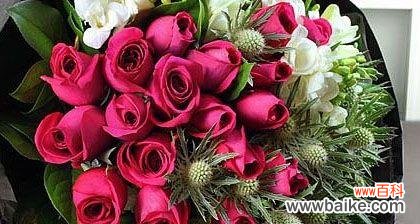 用19支红玫瑰传递深情 红玫瑰花语