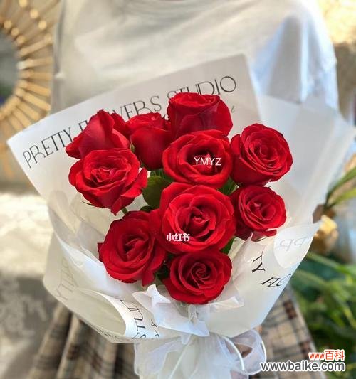 探究红玫瑰花的浪漫、热情和爱情的象征意义 红玫瑰花的含义及象征作用