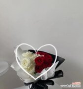 红玫瑰与白玫瑰之间的美丽对比 红玫瑰和白玫瑰的象征意义及区别