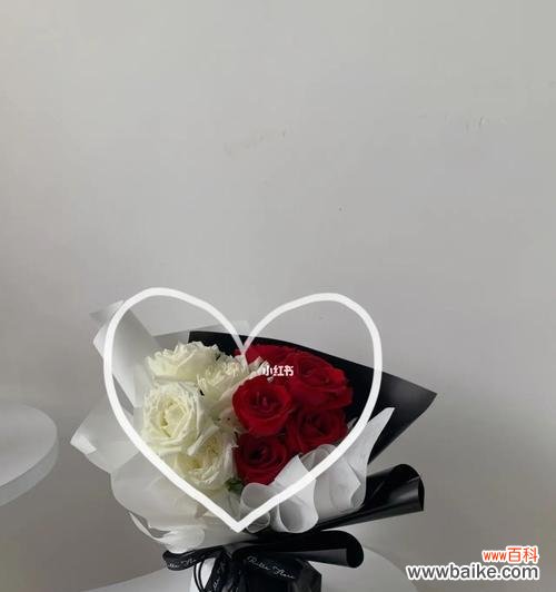 红玫瑰与白玫瑰之间的美丽对比 红玫瑰和白玫瑰的象征意义及区别