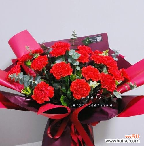 红色康乃馨的花语与寓意 红色康乃馨