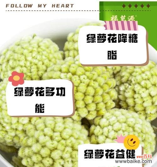 绿萝的花语有多简单?