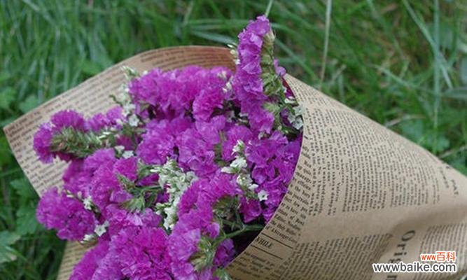 高安这个地名有什么特别的花语?