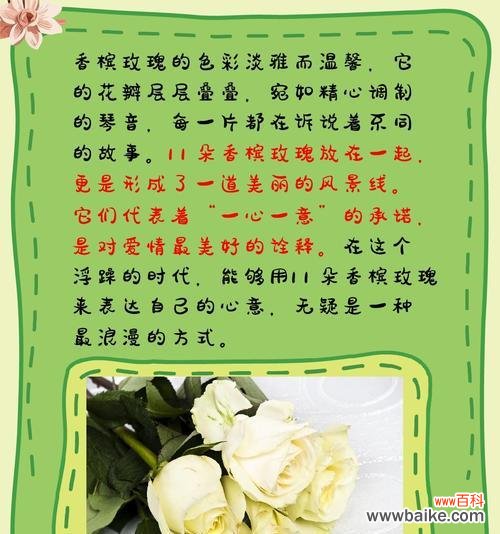 塑料玫瑰花颜色的花语有哪些?