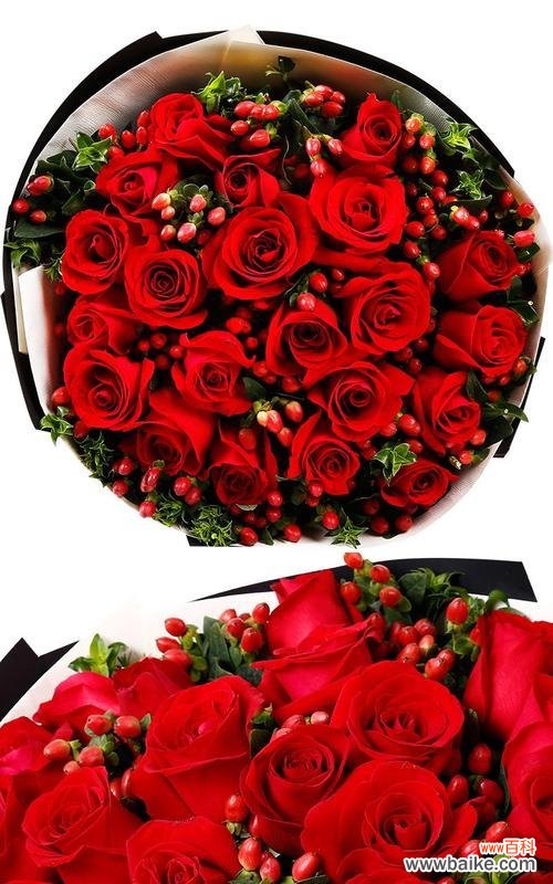 探寻红色玫瑰的情感象征 红色玫瑰花的19种含义