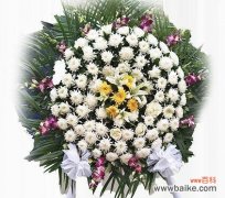 以表示哀悼的花种类及象征意义一览 哀悼的花语——用花表达沉痛悼念