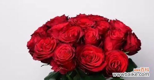 解读花语暗示与爱情猜疑暧昧花语的奥妙 探寻暧昧花的花语——暧昧的美与情