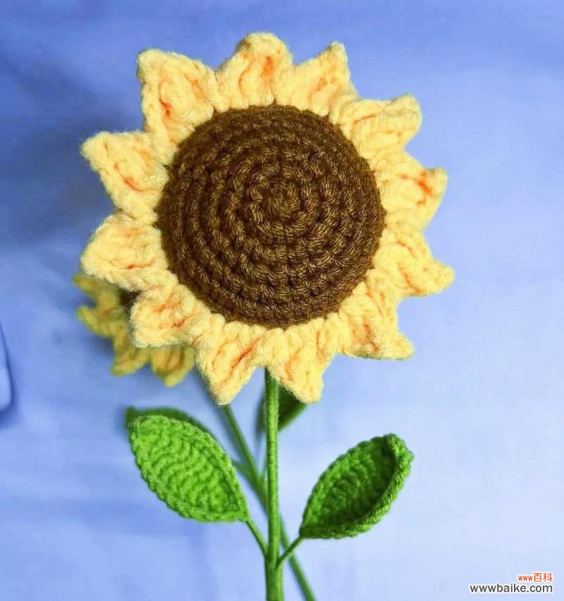 慈孝的花语通常指哪种花？