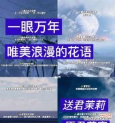 蓝星草的花语有何特别之处？