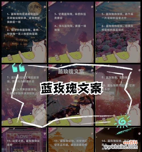 十三行蓝玫瑰的花语有何特别之处?