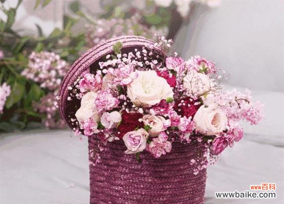 麻将小雀的寓意和花语分别是什么？