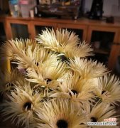 探寻花朵中的父爱 父爱之花