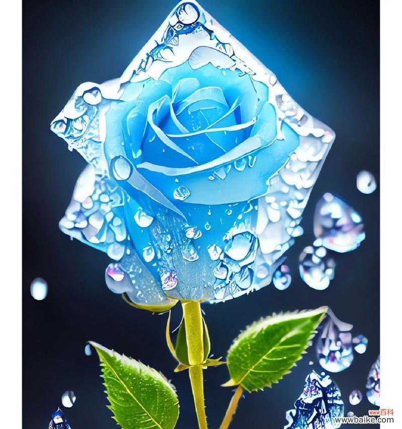 蓝玫瑰不谢象征着什么？