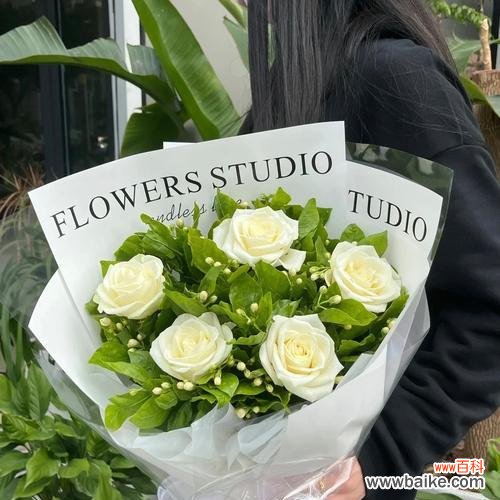 一朵茉莉花语是什么？它代表了哪些情感？