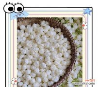 一朵茉莉花语是什么？它代表了哪些情感？