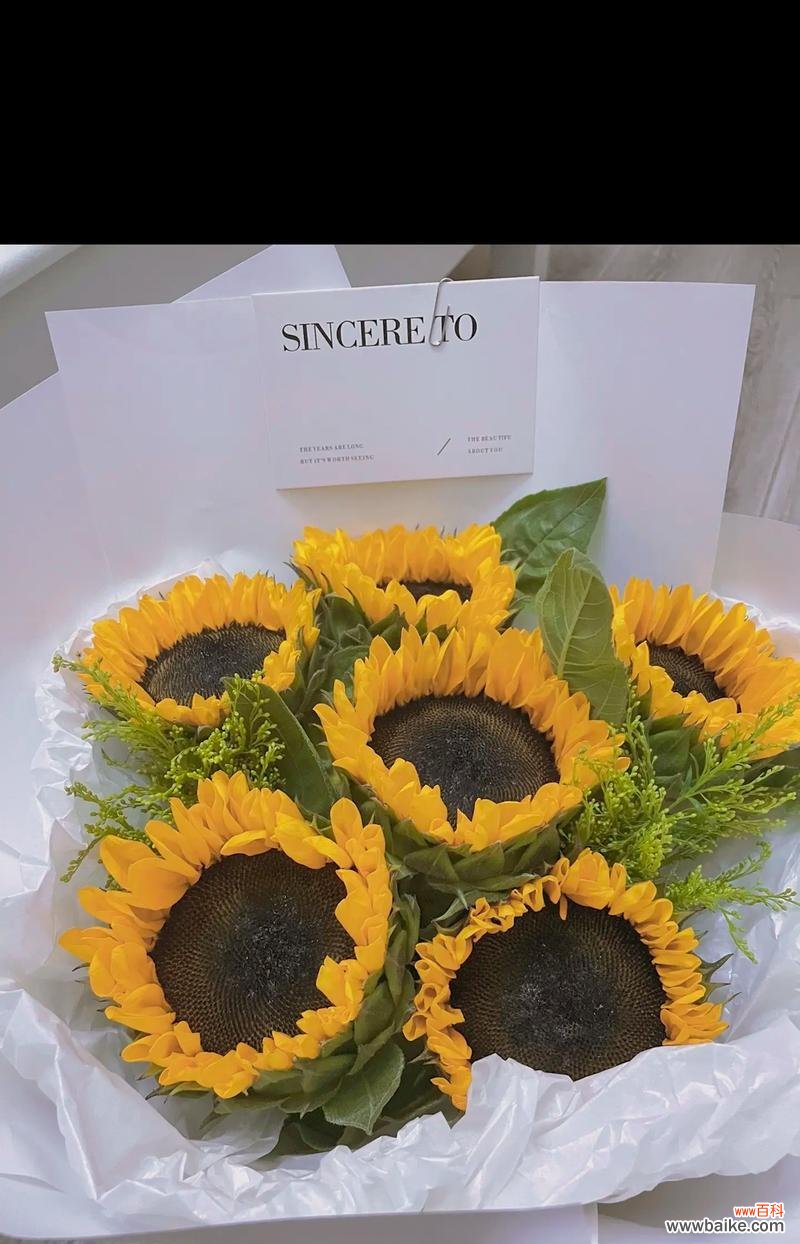 不死鸟绿植的花语有何含义？