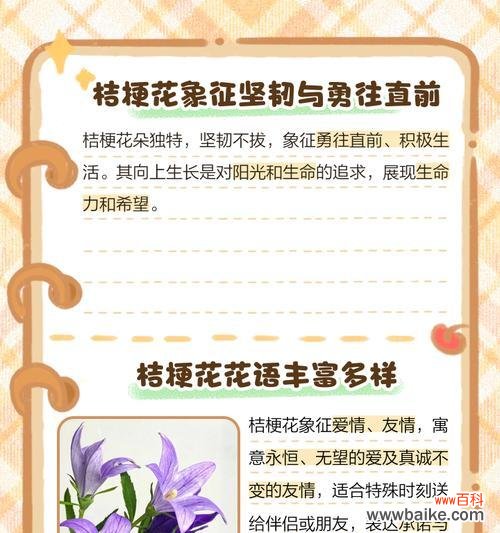认识花的品种和花语是什么？如何通过花语表达情感？