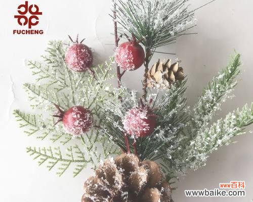 松树果果的花语代表什么含义?